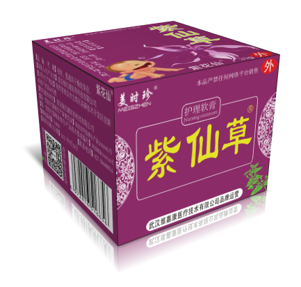 紫仙草6.png