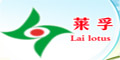 萊孚logo