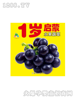 晨風(fēng)1歲水果圖書